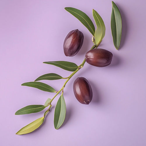 Huile de Jojoba